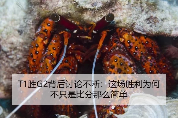 T1胜G2背后讨论不断：这场胜利为何不只是比分那么简单